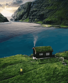 a house with a green roof and smoke coming out of the chimney is in the middle of a lush green field