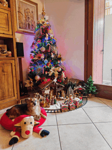 a dog wearing a santa hat is laying in front of a decorated christmas tree