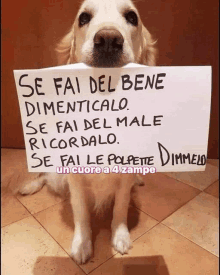 a dog is holding a sign that says se fai del bene dimenticalo