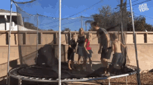 a group of people are jumping on a trampoline in front of a fence with junkin vine written in the corner