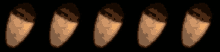 a row of acorns are shown in a pixel art style on a black background