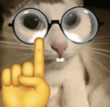 a close up of a cat wearing glasses and making a peace sign with its finger .