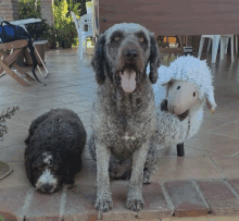 two dogs sitting next to a stuffed sheep on a tiled floor