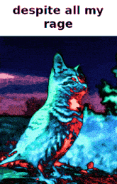 a picture of a cat with the words despite all my rage