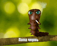 a cartoon caterpillar is smoking a cigarette and has the word papa written on it