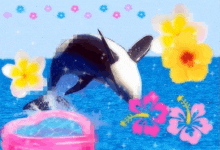 a black and white dolphin jumping out of the water surrounded by flowers