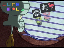 a cartoon of squidward looking out a window with the words cute molg written above him