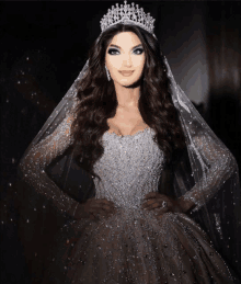 a woman wearing a tiara and a veil is wearing a wedding dress