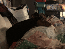 a dog is laying on a bed with a blanket that says ' snoopy ' on it