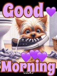 a picture of a small dog with a shoe in its mouth and the words good morning