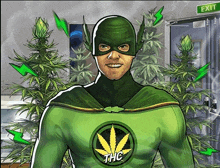 a man in a green superhero costume with thc on his chest