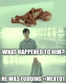 a harry potter meme that says what happened to him he was fudding # mext01