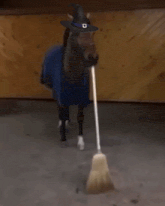 a horse wearing a witch hat and holding a broom