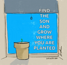 a drawing of a plant in a pot with the words find the son and grow where you are planted