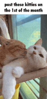 a picture of two cats kissing with the caption post these kitties on the first of the month