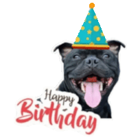 a black dog wearing a party hat with its tongue hanging out says happy birthday .