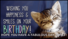 a birthday card with a kitten and the words wishing you happiness and smiles on your birthday hope you have a fabulous day janet