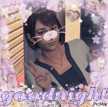 a picture of a girl with a cat face mask and the words goodnight picmix