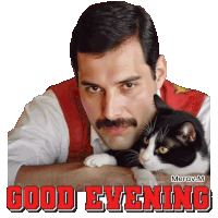 a man with a mustache is holding a cat and says good evening in red letters