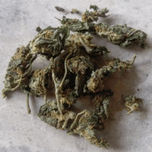 a pile of dried marijuana buds and leaves on a table .