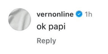 a picture of a person 's reply to a post on instagram .
