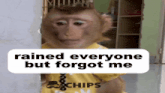 a monkey wearing a yellow shirt with the words " rained everyone but forgot me " on it