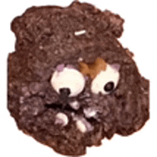 a close up of a chocolate cookie with googly eyes on it on a white background .