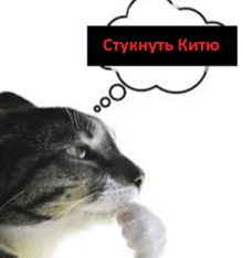 a cat with a thought bubble above its head that says " stucknut kiito "