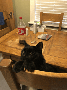 a bottle of coca cola sits on a wooden table next to a cat