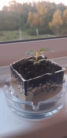 a small plant is growing in an ashtray in front of a window