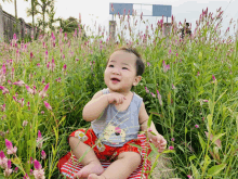 a baby is sitting in a field of flowers with a sign that says ' a ' on it