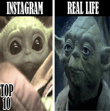 a picture of a baby yoda next to a picture of yoda with the caption instagram top 10 real life