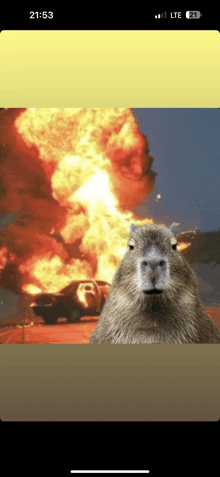 a picture of a capybara in front of an explosion with the time of 21:53