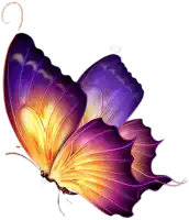 a colorful butterfly with purple and yellow wings is flying on a white background