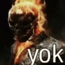 a close up of a burning skeleton with the words yok on it .