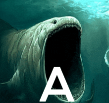 a picture of a shark with the letter a on the bottom