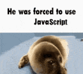 a picture of a puppy with the words he was forced to use javascript