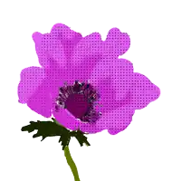 a purple flower with polka dots on the petals and a green stem