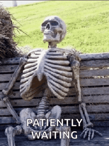 a skeleton is sitting on a wooden bench with the words patiently waiting above it