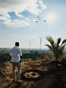 a man in a white shirt stands on a hill looking at windmills