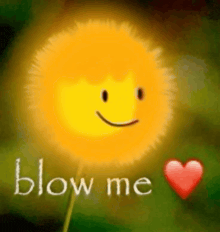 a yellow flower with a smiley face and the words blow me written on it