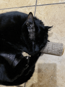 a black cat laying on a tiled floor playing with a toy