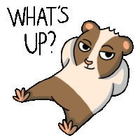 a cartoon of a guinea pig with the words " what 's up " below it