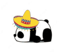 Panda Mexicano Meme