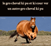 a picture of a horse with the words le gro cheval ki pu et ki cour ver on the bottom