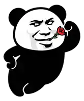a panda bear is holding a red rose in his mouth