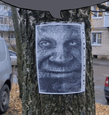 a picture of a man 's face is taped to a tree trunk