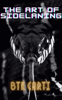 a black and white photo of a snake with the title the art of sidelining