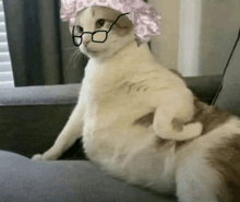 a cat wearing glasses and a hat is sitting on a couch