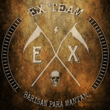 a logo for ex team with a skull and flags